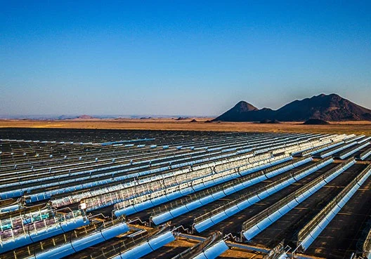 Sustainability Report